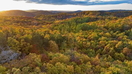 Foto de Hermosa naturaleza de otoño colofrul en un paisaje rural checo y bosque - Imagen libre de derechos
