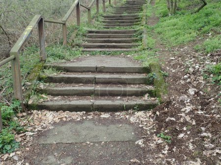 Photo for Old steps in a park walk route - Royalty Free Image