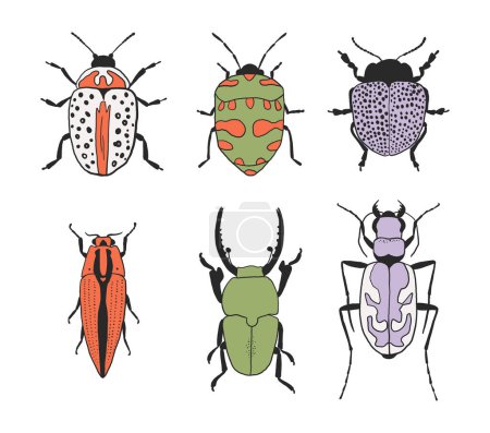 Foto de Colorido juego de insectos. Colección de insectos dibujados a mano - Imagen libre de derechos