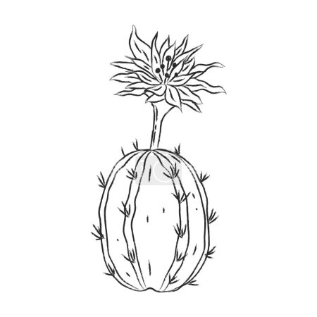Foto de Cactus floreciente dibujado a mano en estilo pintado con pincel. Planta monocromática simple ilustración - Imagen libre de derechos