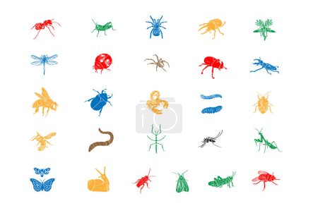 Téléchargez les illustrations : Ensemble d'insectes simples. Gravure des illustrations. - en licence libre de droit