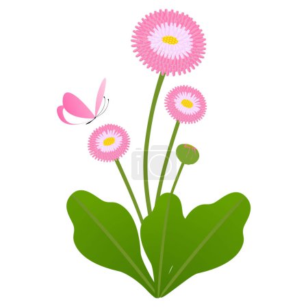 Illustration for Daisy flowers with a butterfly on a white background. - Royalty Free Image