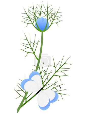 Nigella damask branch with a butterfly on a white background.