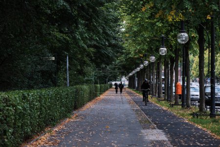 Foto de Berlín, Alemania - Sept 2022: Tiergarten de Berlín en un día de otoño personas a pie y en bicicleta - Imagen libre de derechos