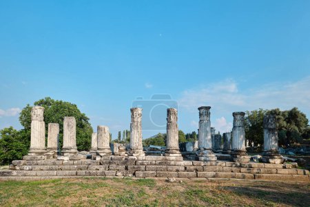 Foto de Mugla, Turkey - July 16, 2023: Ruins of the Temple of Goddess Hecate in Lagina Ancient City - Imagen libre de derechos