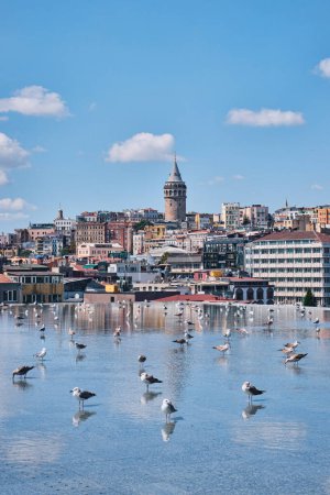 Foto de Estambul, Turquía - 10 de septiembre de 2023: Vista de Galata desde la terraza del Museo de Arte Moderno de Estambul con gaviotas en la piscina de reflexión - Imagen libre de derechos