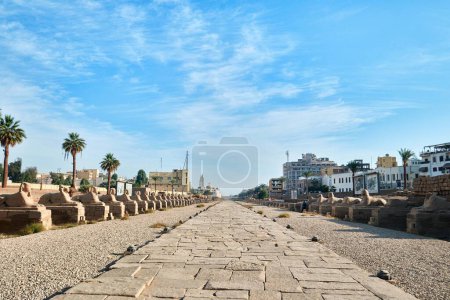 Photo for Luxor, Egypt - December 26 2023: Sphinxes road at entrance to Luxor Temple, a large Ancient Egyptian temple complex located on the east bank of the Nile River - Royalty Free Image