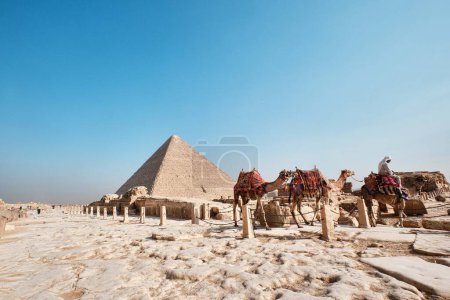 Foto de Giza, Egipto - 24 de diciembre de 2023: La Gran Pirámide de Khufu (Pirámide de Keops) es la más antigua y grande de las tres pirámides de Giza y los camellos - Imagen libre de derechos