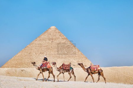 Foto de Giza, Egipto - 24 de diciembre de 2023: La Gran Pirámide de Khufu (Pirámide de Keops) es la más antigua y grande de las tres pirámides de Giza con camellos - Imagen libre de derechos