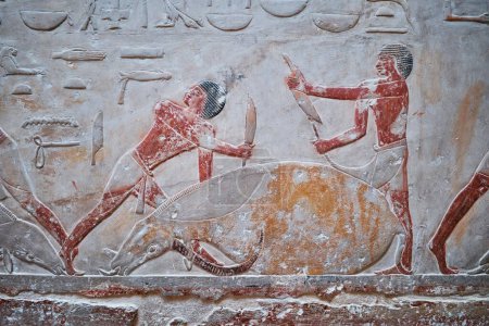 Photo for Saqqara, Egypt - January 2, 2024: Painted bas relief figures showing daily life in ancient Egypt inside Tomb of Kagemni in Saqqara necropolis - Royalty Free Image