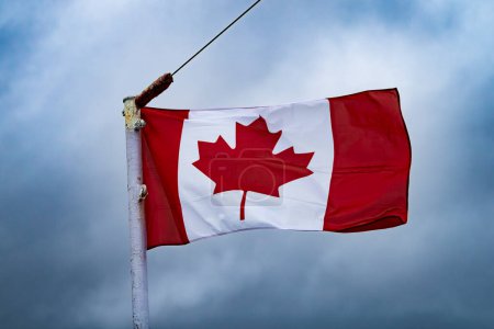 Téléchargez les photos : Le drapeau canadien flotte dans le vent à nouveau dans un ciel bleu spectaculaire - en image libre de droit