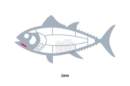 Illustration for Jaw. Tuna Cuts line diagram.  Japanese style - Royalty Free Image