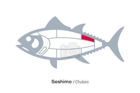 Illustration for Seshimo Chutoro.Tuna Cuts line diagram.  Japanese style - Royalty Free Image
