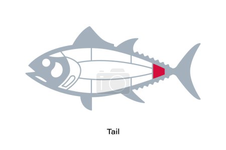 Téléchargez les illustrations : Queue. Tuna Coupe le diagramme linéaire. Style japonais - en licence libre de droit