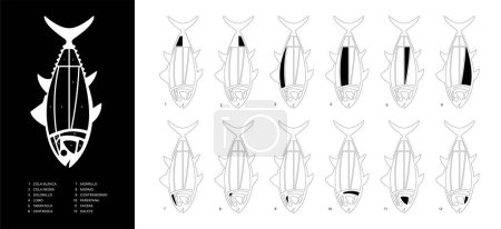 Illustration for Black and white horizontal Tuna Cuts diagram (ronqueo). Parts of tuna written in Spanish. - Royalty Free Image