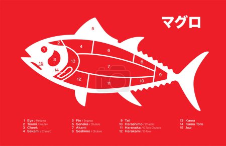 Téléchargez les illustrations : Thon japonais Diagramme de découpes sur fond rouge. - en licence libre de droit