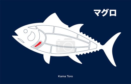 Téléchargez les illustrations : Kama Toro, Thon japonais Diagramme de découpes sur fond bleu. - en licence libre de droit