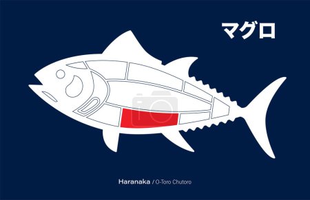 Téléchargez les illustrations : Haranakai o toro chutoro, Thon japonais Diagramme de découpes sur fond bleu. - en licence libre de droit