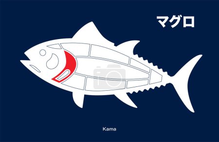 Téléchargez les illustrations : Kama, Thon japonais Diagramme de découpes sur fond bleu. - en licence libre de droit