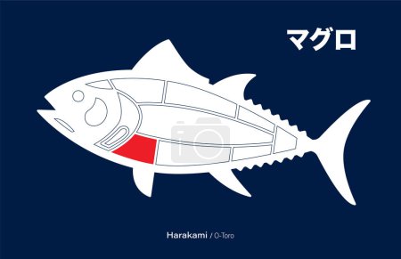 Téléchargez les illustrations : Harakami o toro, Thon japonais Diagramme de découpes sur fond bleu. - en licence libre de droit