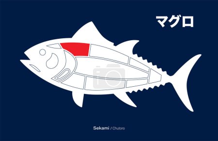 Téléchargez les illustrations : Sekami Chutoro, Thon japonais Diagramme de découpes sur fond bleu. - en licence libre de droit