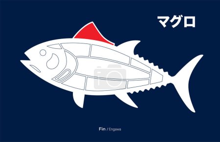 Téléchargez les illustrations : Fin Engawa, Thon japonais Diagramme de découpes sur fond bleu. - en licence libre de droit