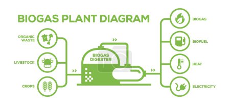 Illustration for Simple Biogas Plant Diagram. Biogas Production Phases: Illustrated Educational Plan from Farming to Energy - Royalty Free Image