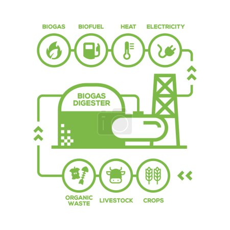 Ilustración de Diagrama simple de plantas de biogás. Etapas de producción de biogás, energías renovables y medio ambiente verde - Imagen libre de derechos