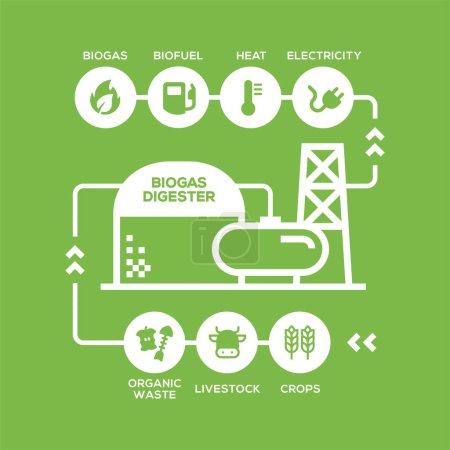 Téléchargez les illustrations : Diagramme simple d'usine de biogaz. Stades de production de biogaz, énergies renouvelables et environnement vert - en licence libre de droit