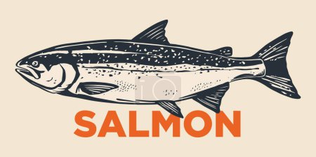 Téléchargez les illustrations : Saumon poisson ligne rétro croquis à l'encre. Illustration vectorielle dessinée à la main de poissons isolés. - en licence libre de droit