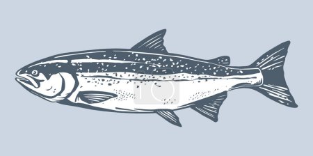 Téléchargez les illustrations : Saumon poisson ligne rétro croquis à l'encre. Illustration vectorielle bleue dessinée à la main de poissons isolés sur fond blanc. - en licence libre de droit