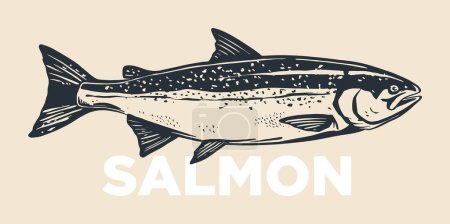 Illustration for Salmon fish retro line ink sketch. Hand drawn vector illustration of fish isolated. - Royalty Free Image