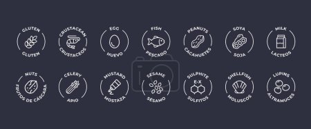 Illustration for Isolated Vector Logo Set Badge Ingredient Warning Label. Allergens icons. Food Intolerance. The 14 allergens required to declare written in Spanish and English - Royalty Free Image