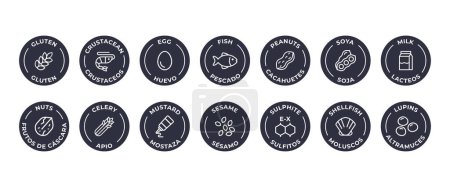 Illustration for Isolated Vector Logo Set Badge Ingredient Warning Label. Allergens icons. Food Intolerance. The 14 allergens required to declare written in Spanish and English - Royalty Free Image