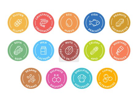 Illustration for Isolated Vector Logo Set Badge Ingredient Warning Label. Colorful Allergens icons. Food Intolerance. The 14 allergens required to declare written in Spanish and English - Royalty Free Image