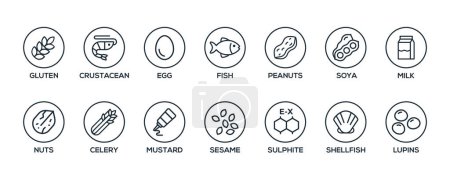 Illustration for Simple Isolated Vector Logo Set Badge Ingredient Warning Label. Black and white Allergens icons. Food Intolerance. The 14 allergens required to declare written in english - Royalty Free Image
