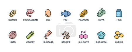 Illustration for Simple Isolated Vector Logo Set Badge Ingredient Warning Label. Colorful Allergens icons. Food Intolerance. The 14 allergens required to declare written in English - Royalty Free Image