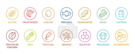 Illustration for Simple Isolated Vector Logo Set Badge Ingredient Warning Label. Colorfull Allergens icons. Food Intolerance. The 14 allergens required to declare written in spanish - Royalty Free Image
