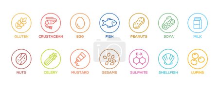 Illustration for Simple Isolated Vector Logo Set Badge Ingredient Warning Label. Colorful Allergens icons. Food Intolerance. The 14 allergens required to declare written in english - Royalty Free Image