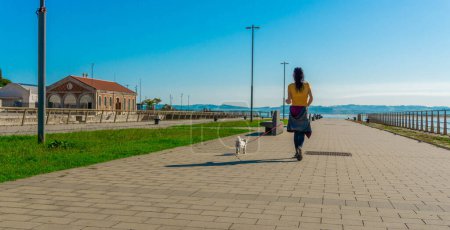 Téléchargez les photos : Vue arrière de la promenade pour adultes sur la plage avec vue sur l'océan - en image libre de droit