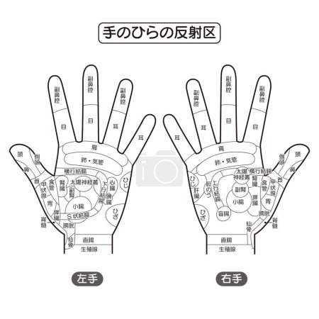 Illustration des Reflexbereichs der Handfläche und des Druckpunktes der Hand (monochrom))