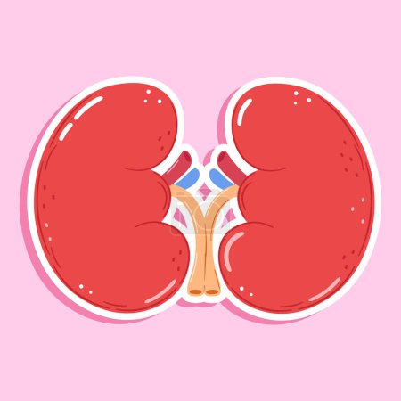 Photo for Cute funny sticker Kidneys organ character. Vector hand drawn cartoon kawaii character illustration icon. Isolated on pink background. Happy Kidneys organ character concept - Royalty Free Image