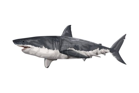 Téléchargez les illustrations : Requin vie marine animal icône - en licence libre de droit