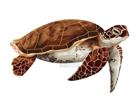 Ilustración de Tortuga vida marina animal icono - Imagen libre de derechos