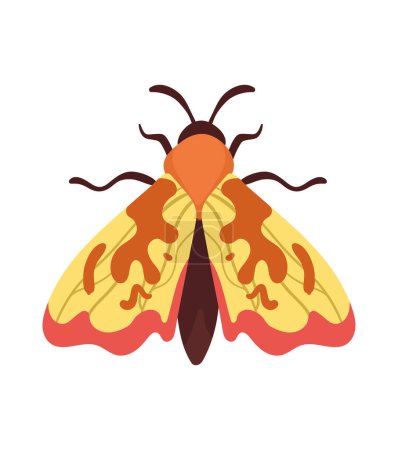 Illustration for Orange moth insect animal icon - Royalty Free Image