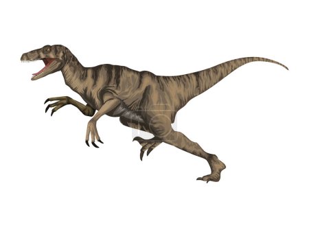 Téléchargez les illustrations : Velociraptor dinosaure préhistorique animal icône - en licence libre de droit
