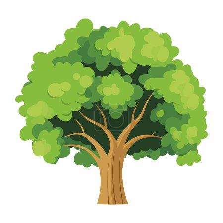 Ilustración de Árbol frondoso planta bosque naturaleza icono - Imagen libre de derechos