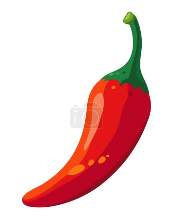 Illustration for Fresh chili pepper vegetable and spice isolated - Royalty Free Image