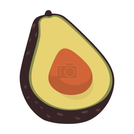 Illustration for Fresh avocado a healthy snack isolated - Royalty Free Image