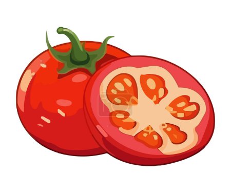 Illustration for Fresh organic tomatoes vegetables healthy meal isolated - Royalty Free Image